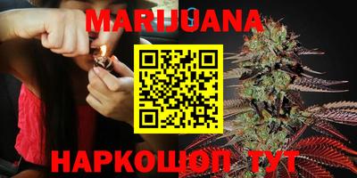 PSILOCYBIN Шелехов