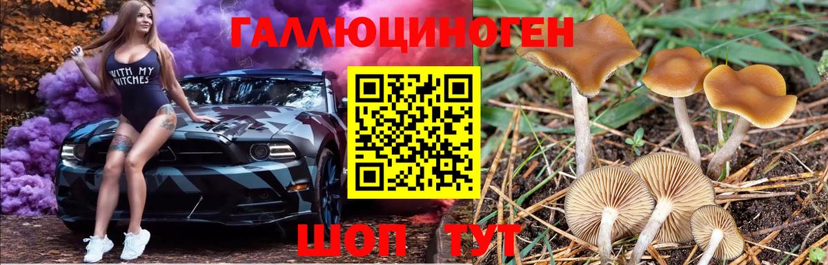 Псилоцибиновые грибы GOLDEN TEACHER  сколько стоит  Волжский  Вход с VPN  Галлюциногенные грибы мухоморы 