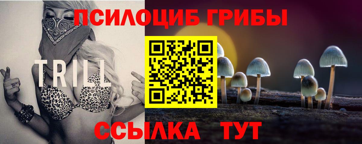Псилоцибиновые грибы Psilocybe Волжский